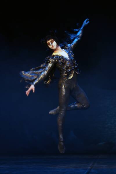 2006-swan-lake (10)