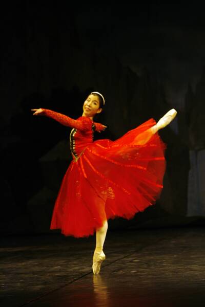 2006-swan-lake (15)