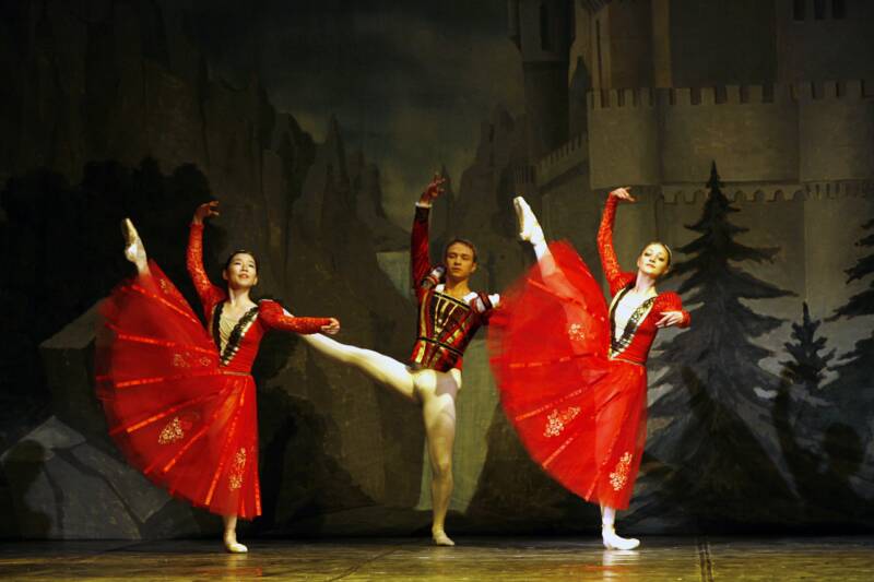 2006-swan-lake (17)