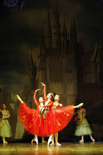 2006-swan-lake (19)