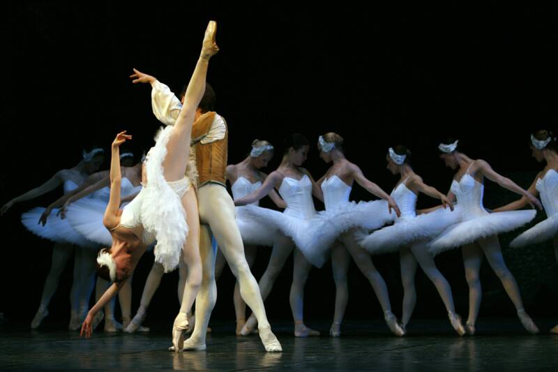 2006-swan-lake (28)