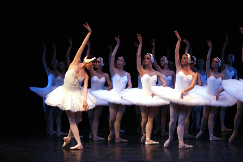 2006-swan-lake (5)